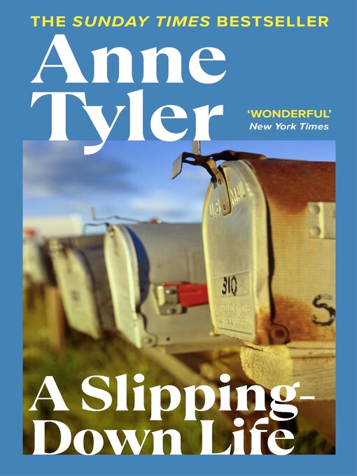 Cover image for A Slipping Down Life